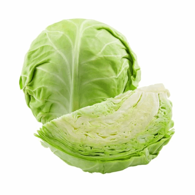 GREEN CABBAGE