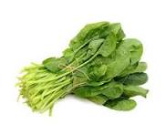 SPINACH BUNCH