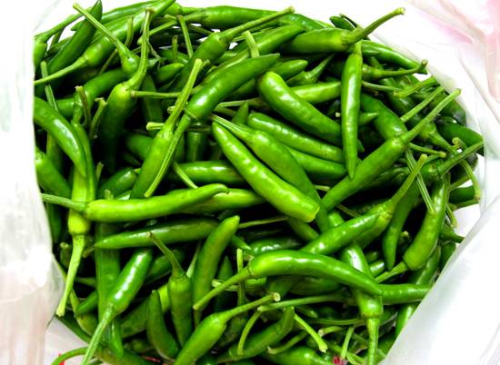 SMALL CHILLI