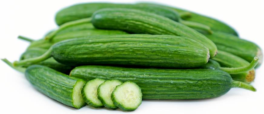 PERSIAN CUCUMBER