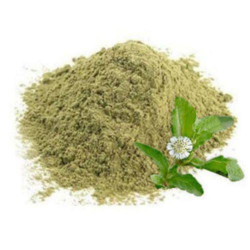 Bhringraj powder grain market