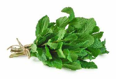 MINT BUNCH