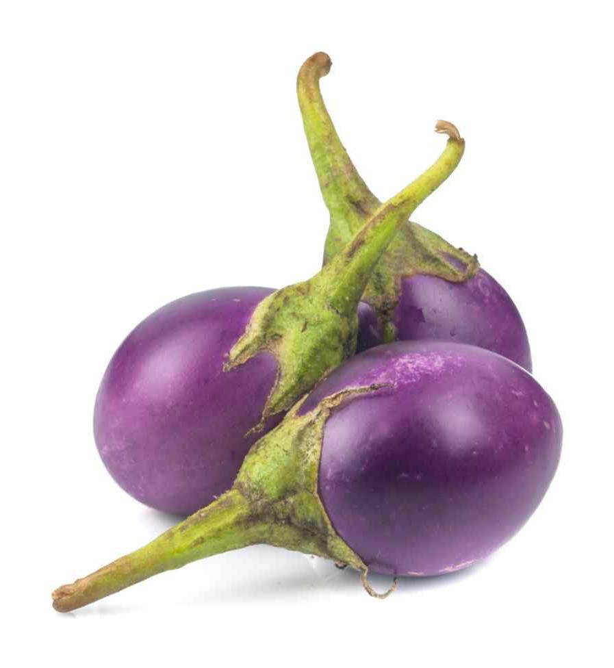 SMALL EGGPLANT