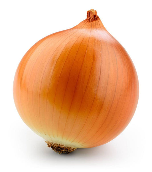 YELLOW ONION