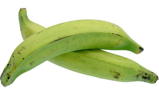 PLANTAIN