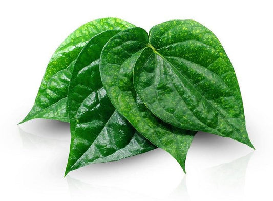 PAAN LEAVES IB(EA)