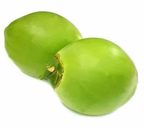 GREEN COCONUT
