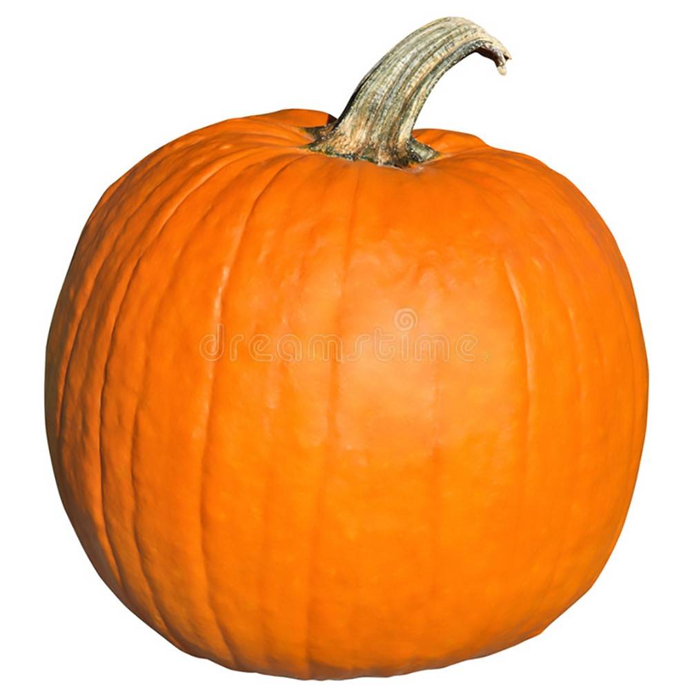 YELLOW PUMPKIN