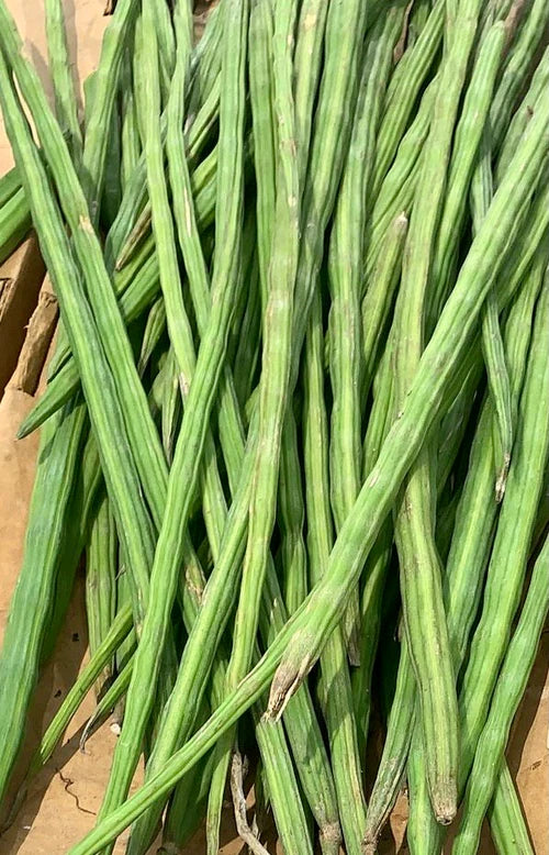 DRUMSTICKS